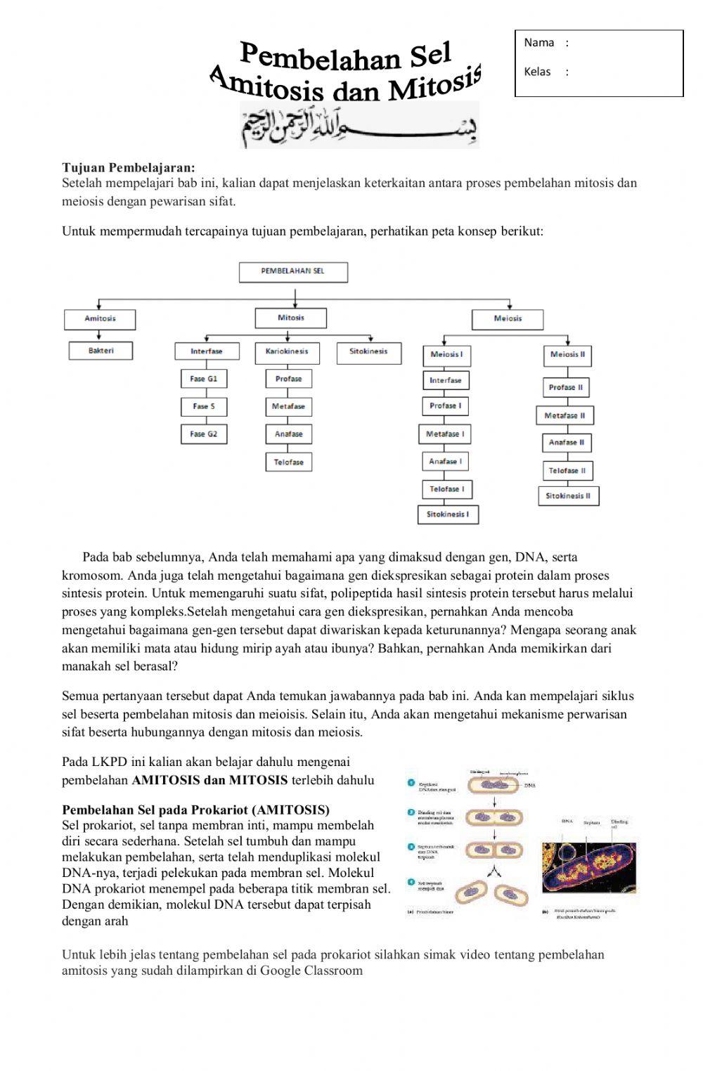 LKPD Amitosis dan Mitosis