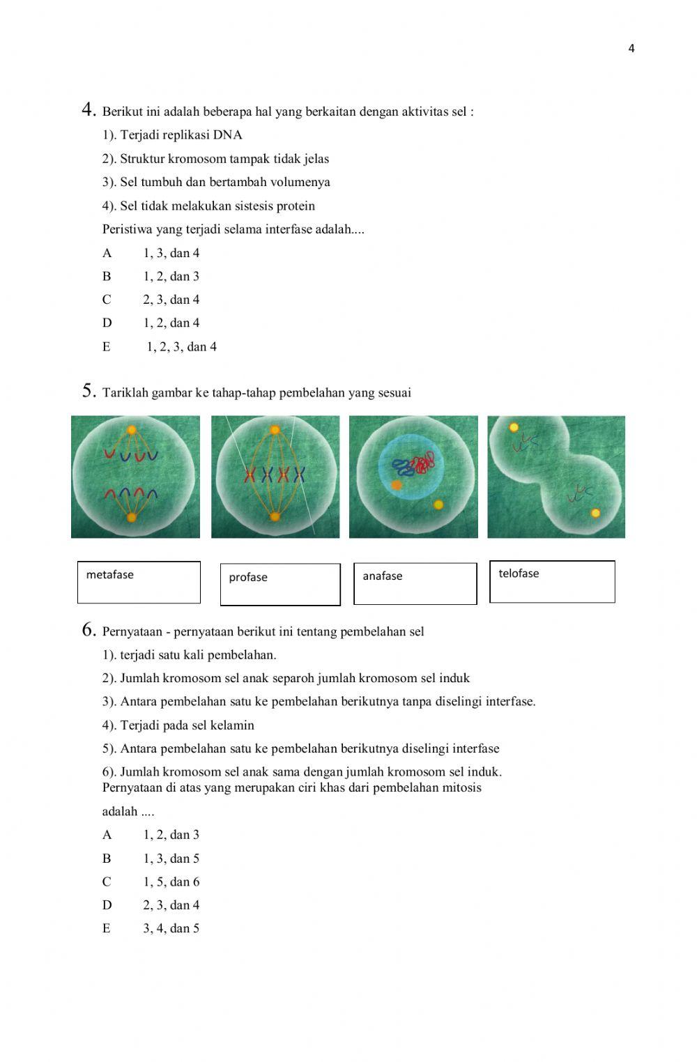 LKPD Amitosis dan Mitosis