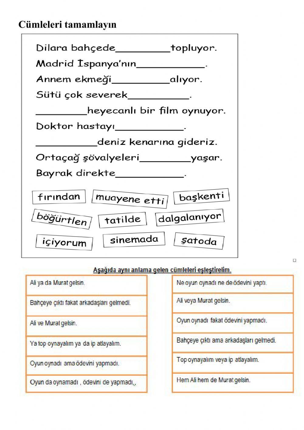 Cümlede Anlam ve Okuma Anlama