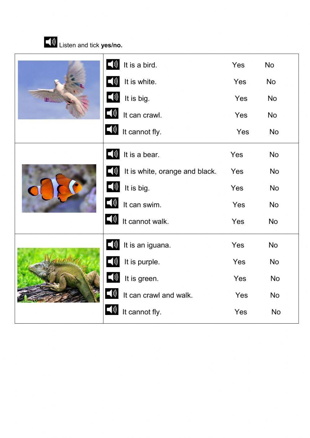 Animals descriptions