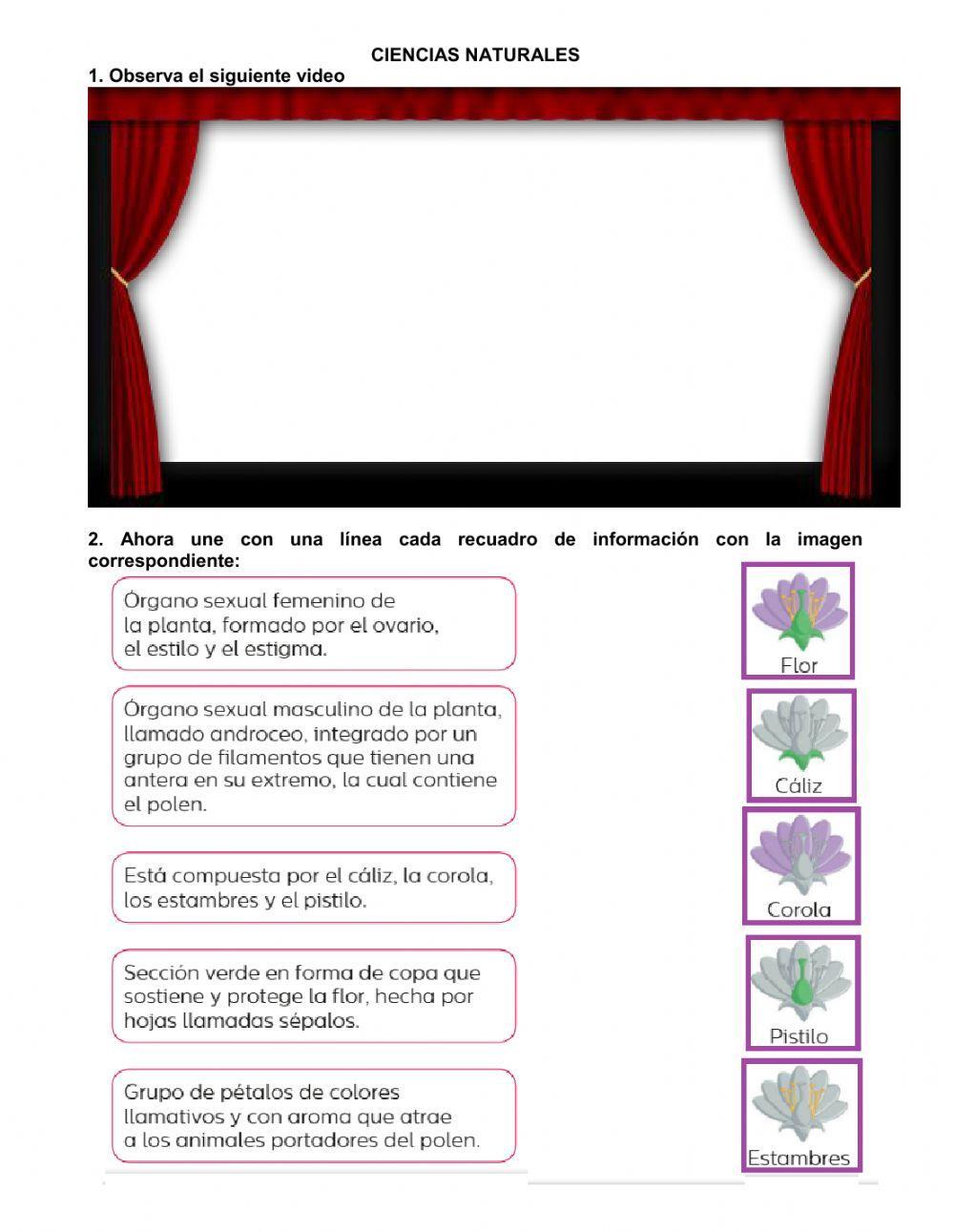 Z553 Ciencias Naturales