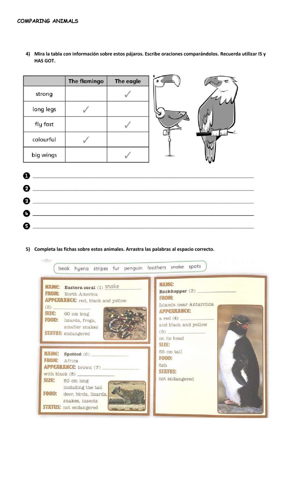 5th Grade COMPARATIVES 2