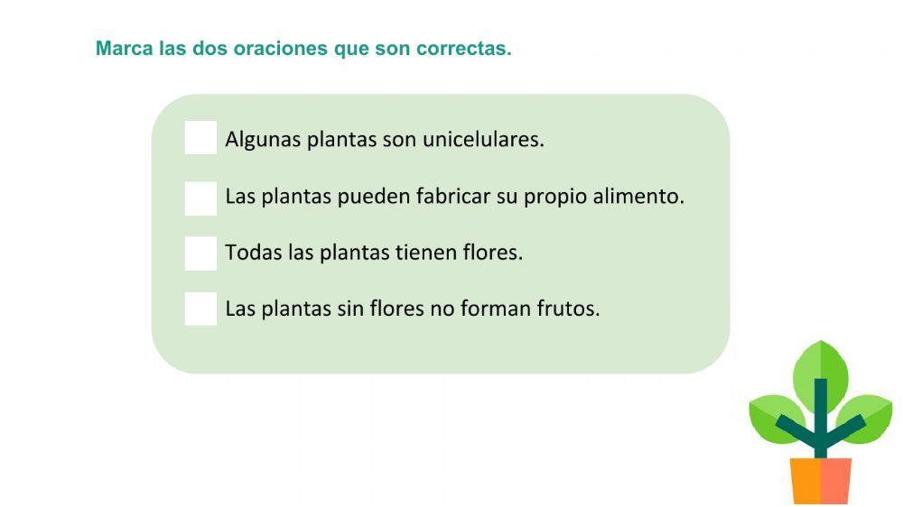 La clasificación de los seres vivos