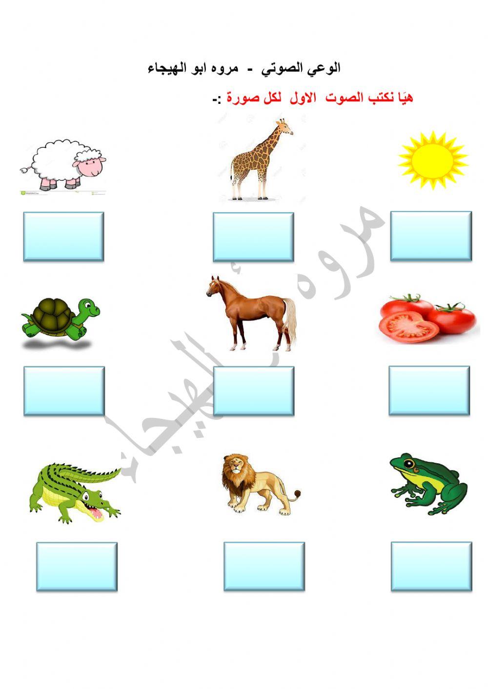 الوعي الصوتي