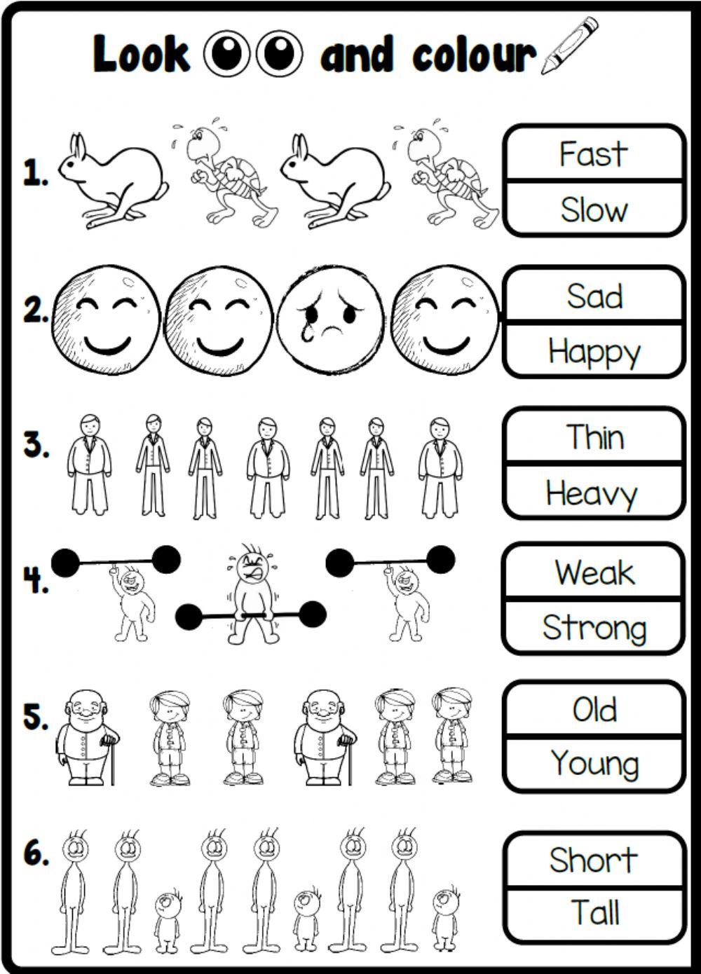 3.3. People I Love - Adjectives