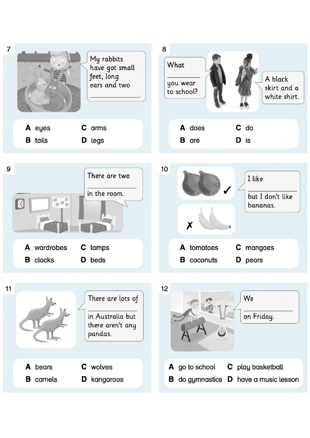 YWIES AS Placement Test