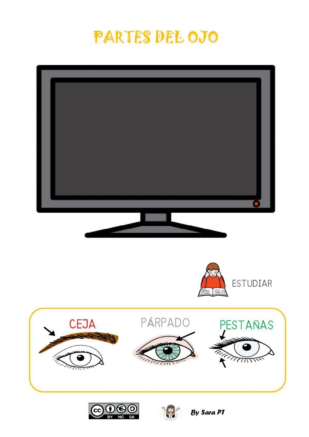 PARTES DEL OJO