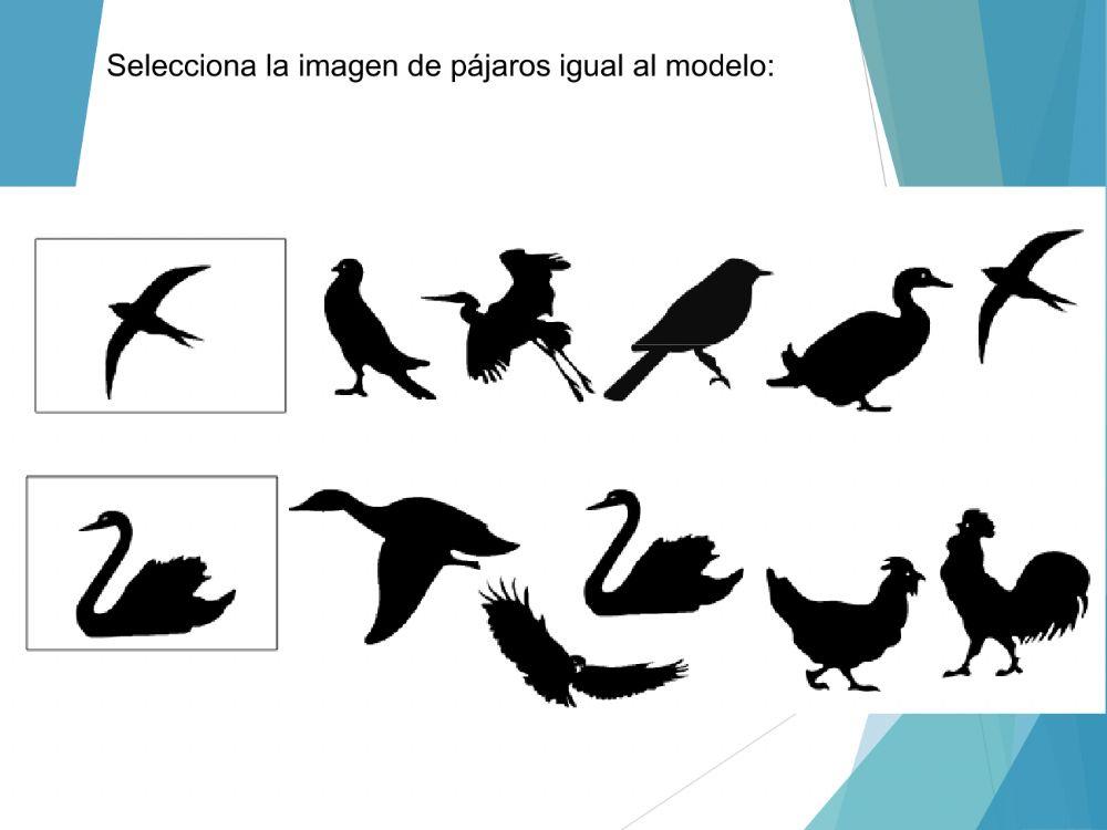 Cuadernillo de Habilidades Cogmitiva1