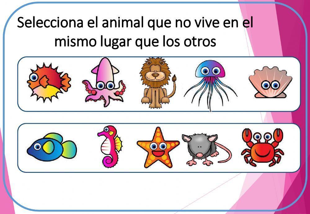 Cuadernillo de Habilidades Cogmitiva 2