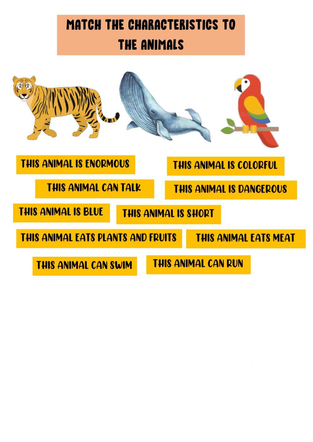 Animals and Characteristics