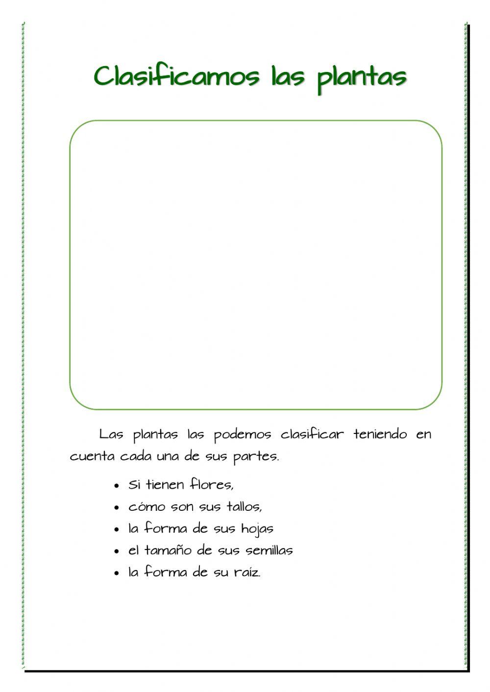 Clasificamos las plantas