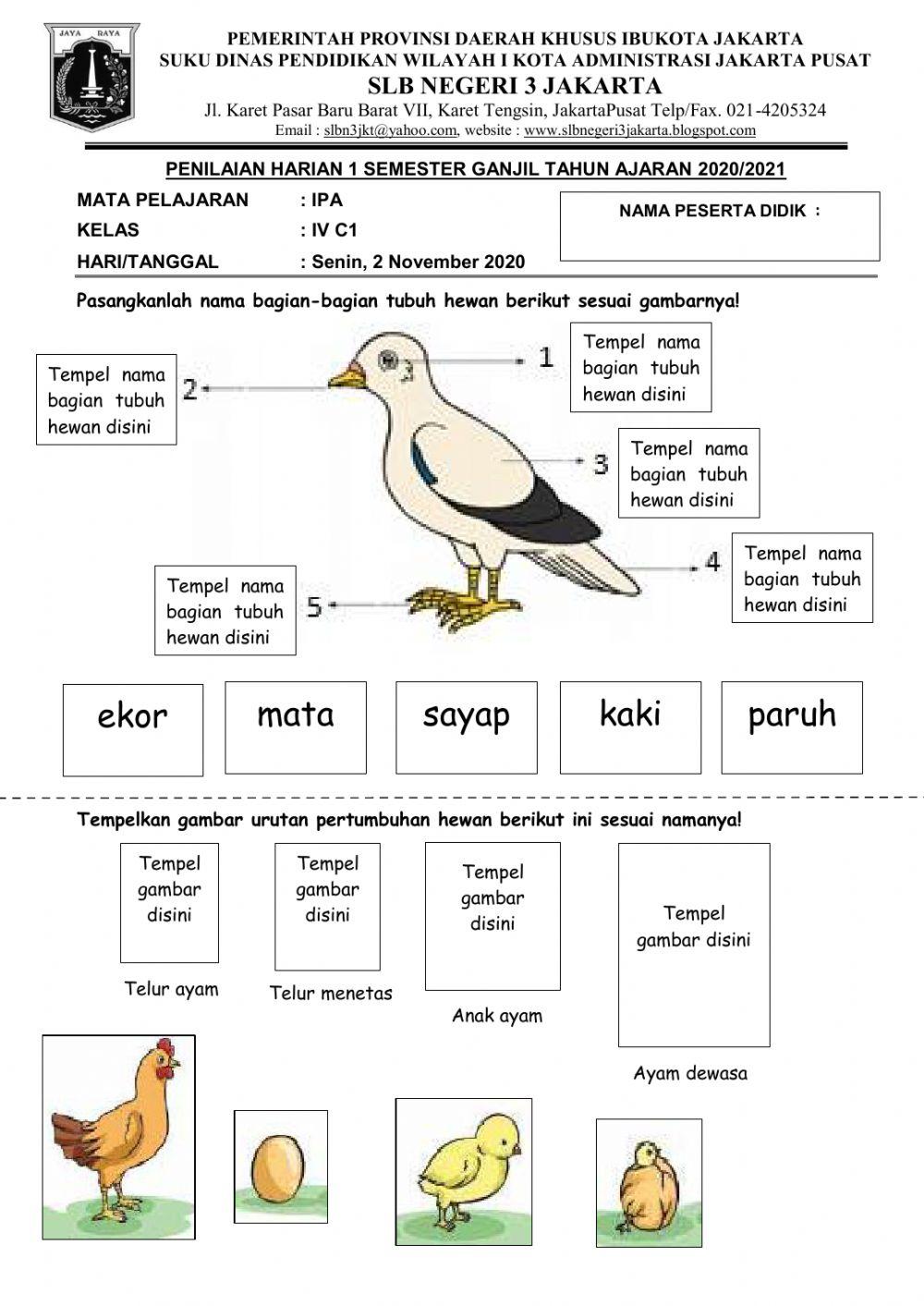 Penilaian Harian 1 - IPA