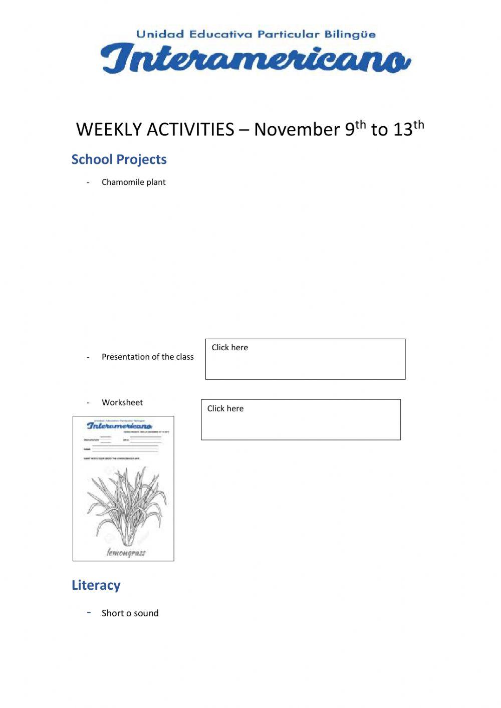 Weekly activities - Preparatory - WEEK 24