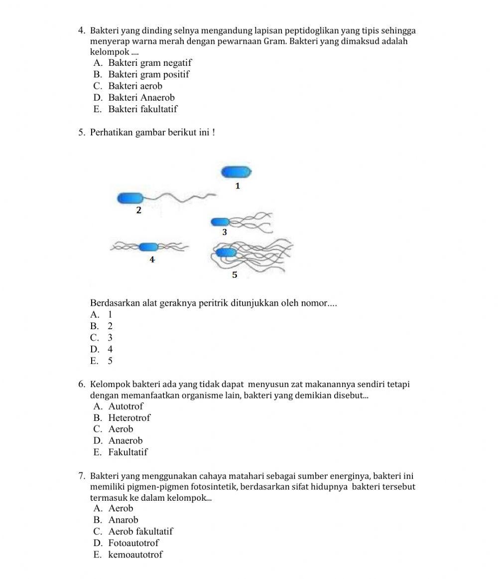 LKPD-BIOLOGI X-BAKTERI