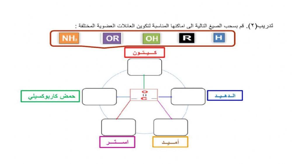 المجموعات الوظيفية