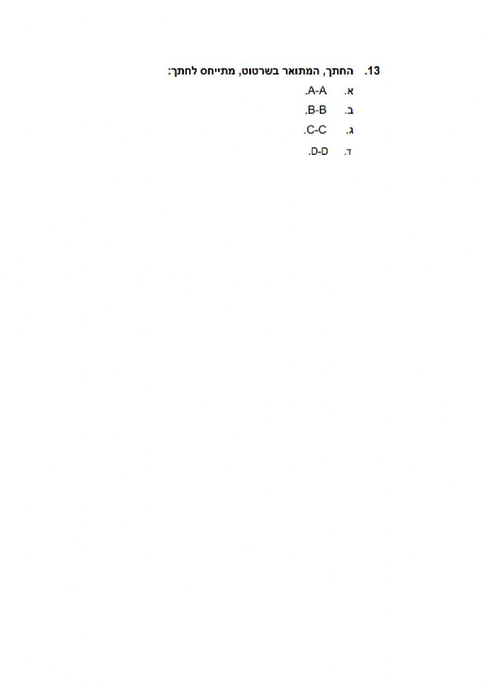 חתכים גמר 2019