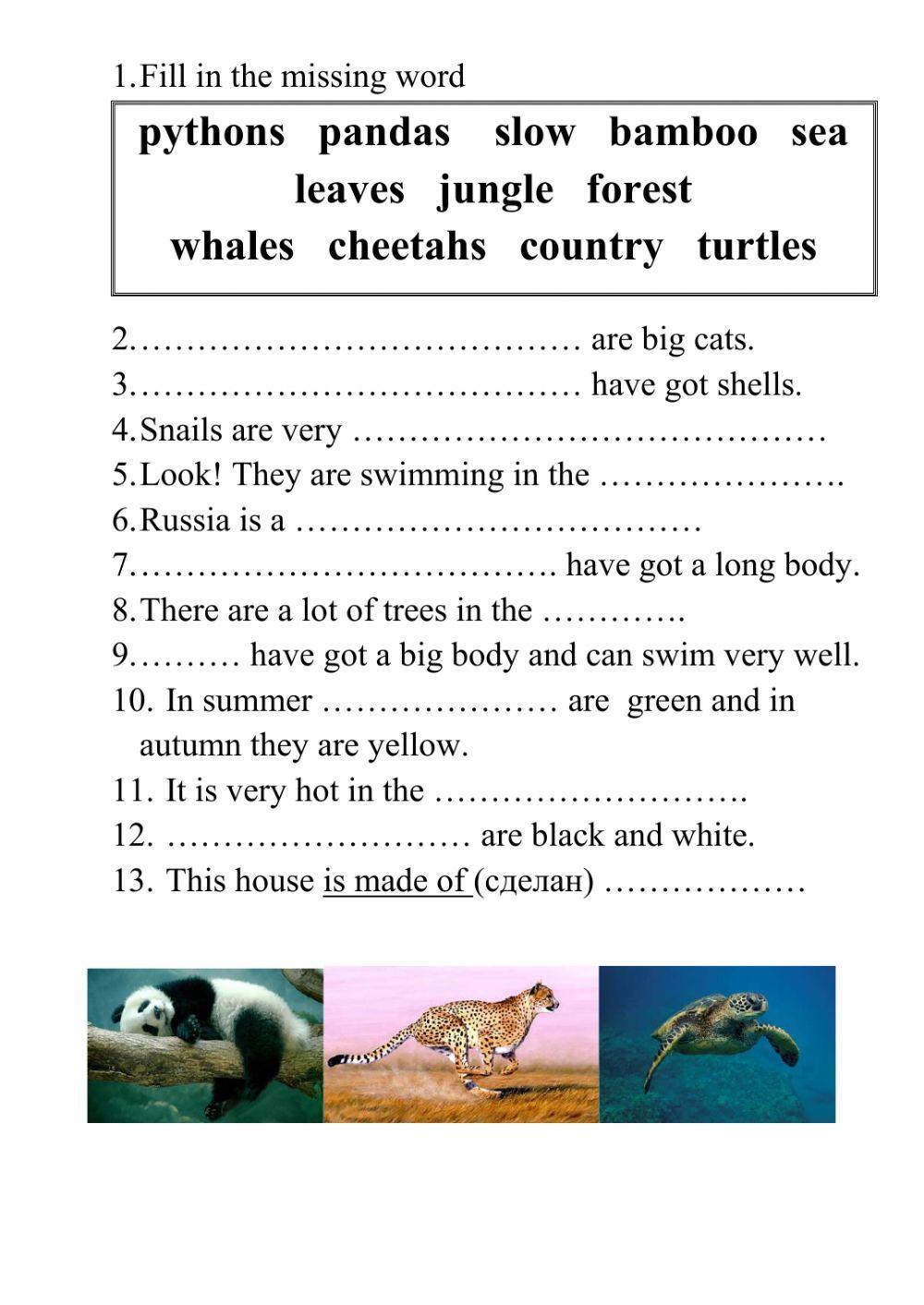 Welcome 2 Unit 8 Lesson 2
