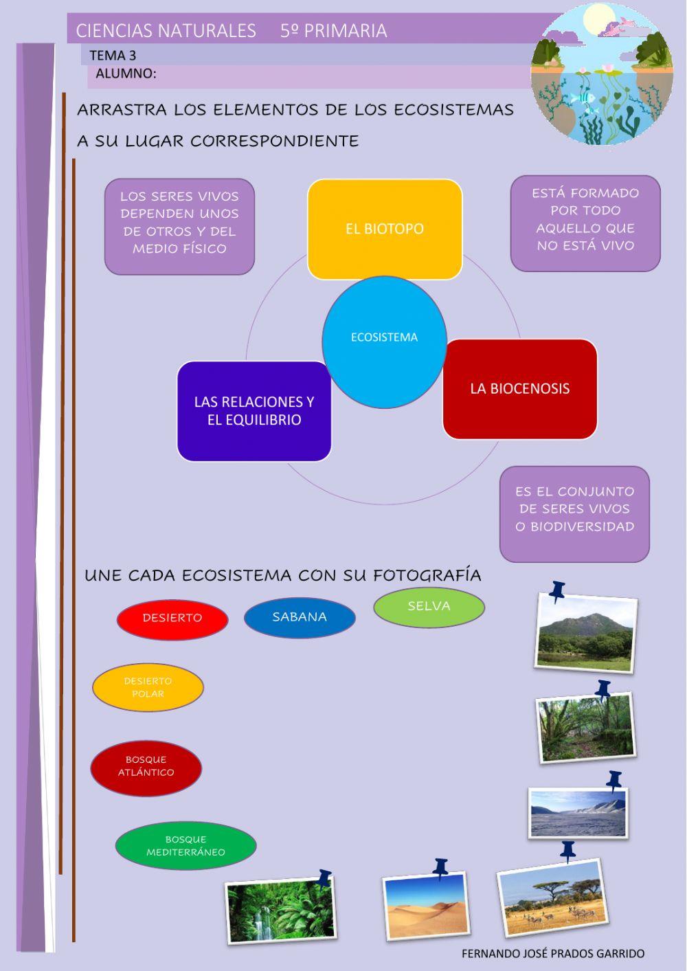 5º naturales tema 3