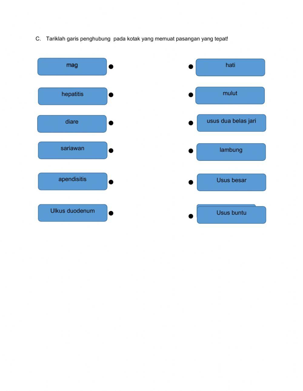 LKPD SISTEM PENCERNAAN MANUSIA