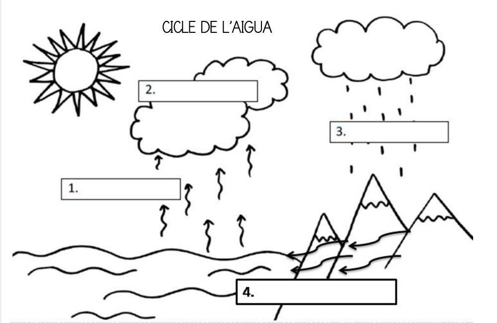 Cicle de l'aigua