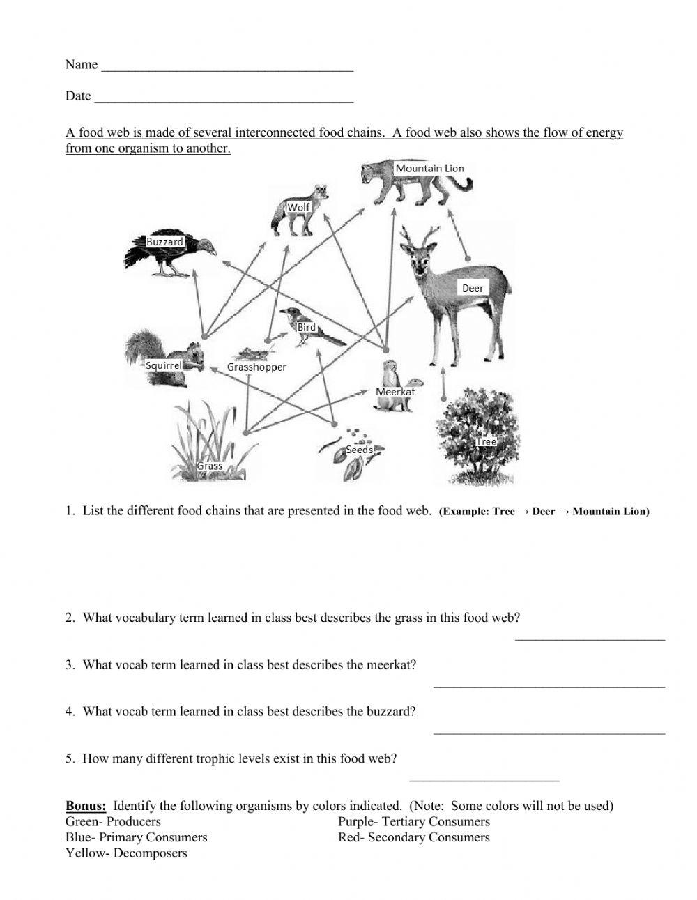 Food Web Tropic
