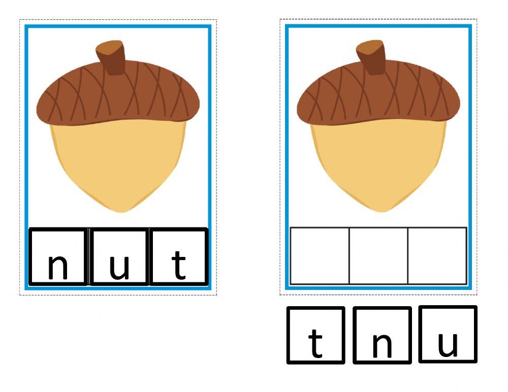 Building N Words worksheet Live Worksheets