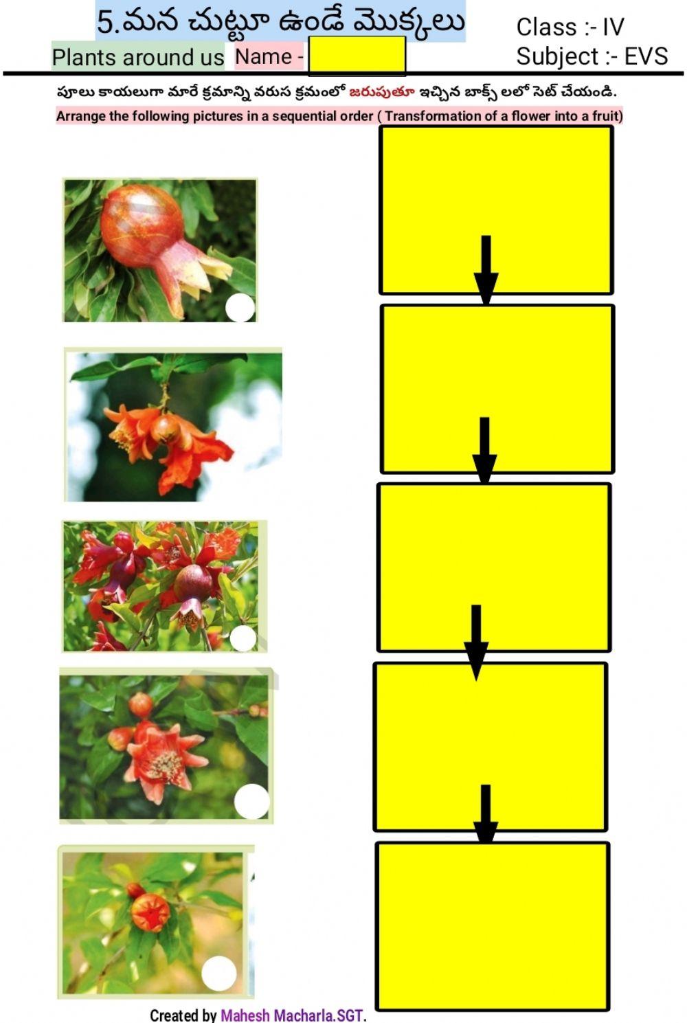 4th-EVS-WS-5-6-BY MAHESH MACHARLA