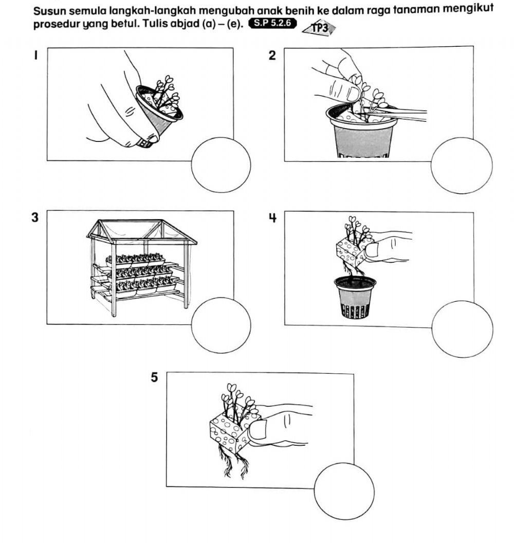 Langkah-langkah Mengubah Anak Benih
