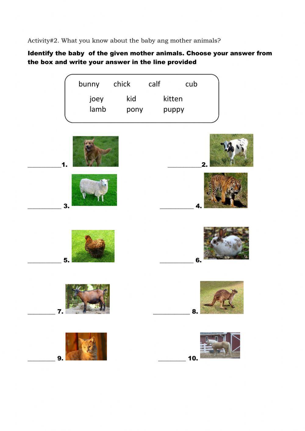 Mother and baby animals grade2 online exercise for live worksheets