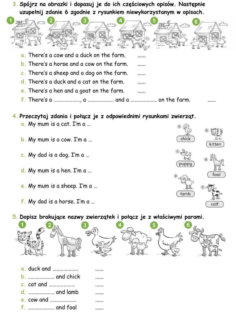 Bugs Team 2 Unit 2 Extra worksheet