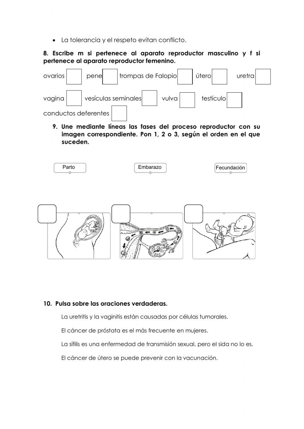 Función de relación y función de reproducción