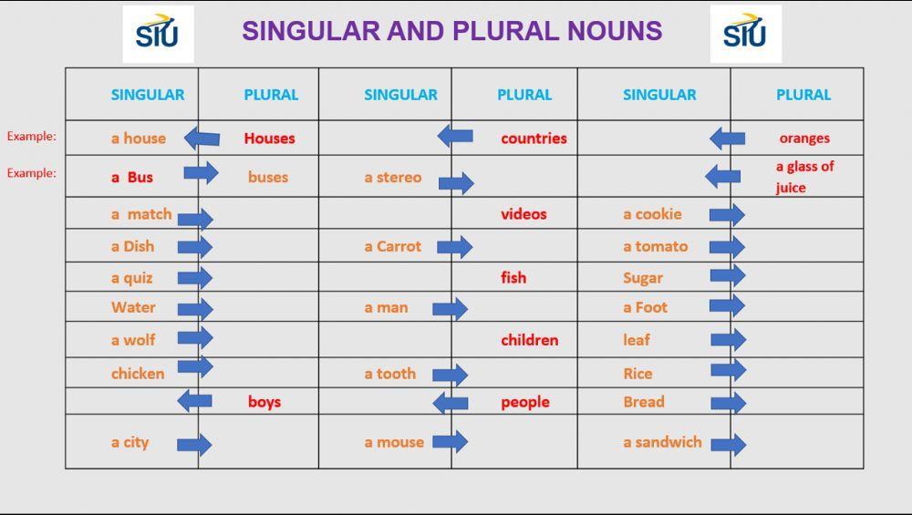Plural nouns and singular nouns quiz