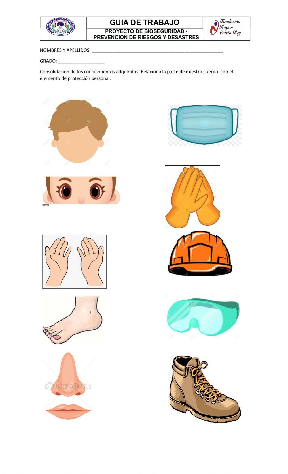 Ficha proyecto bioseguridad