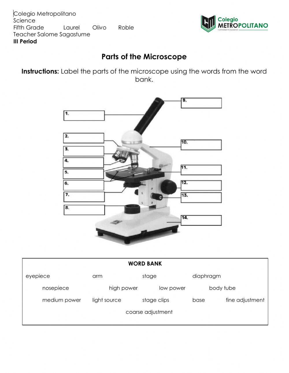 Parts of the Microscope worksheet | Live Worksheets