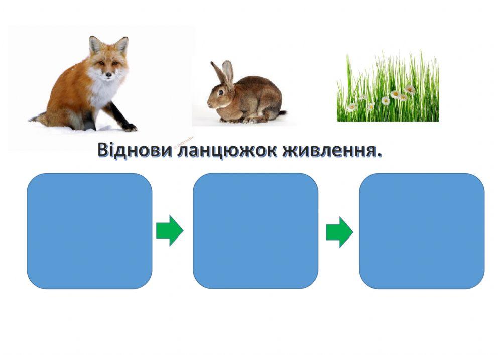 Взаємозв'язки в природі