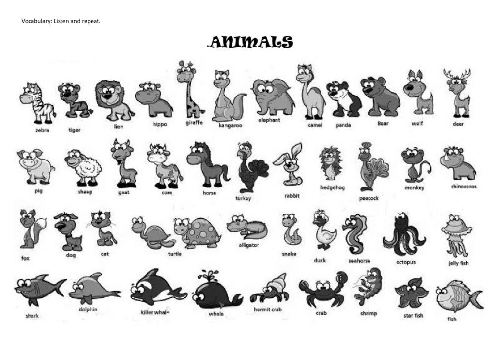 Animals - Pronunciation
