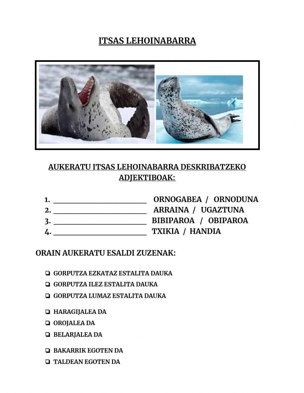 Antartidako animaliak- Itsas Lehoinabarra