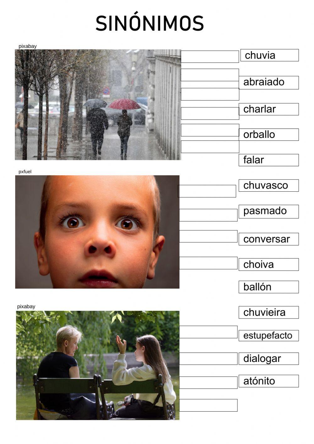 Os sinónimos