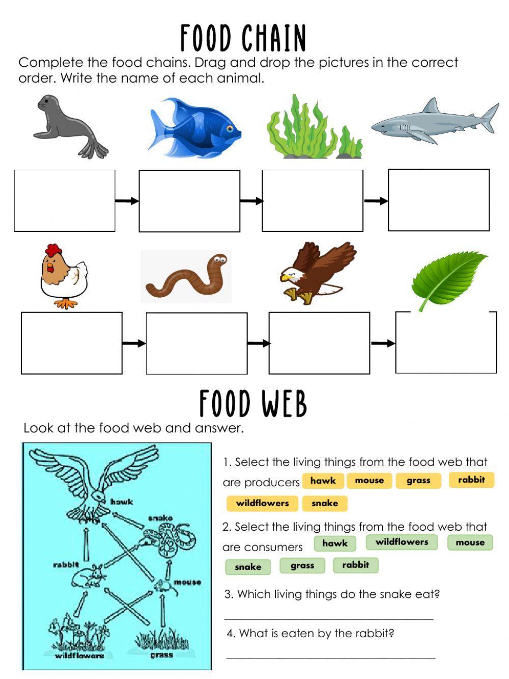 Food chain