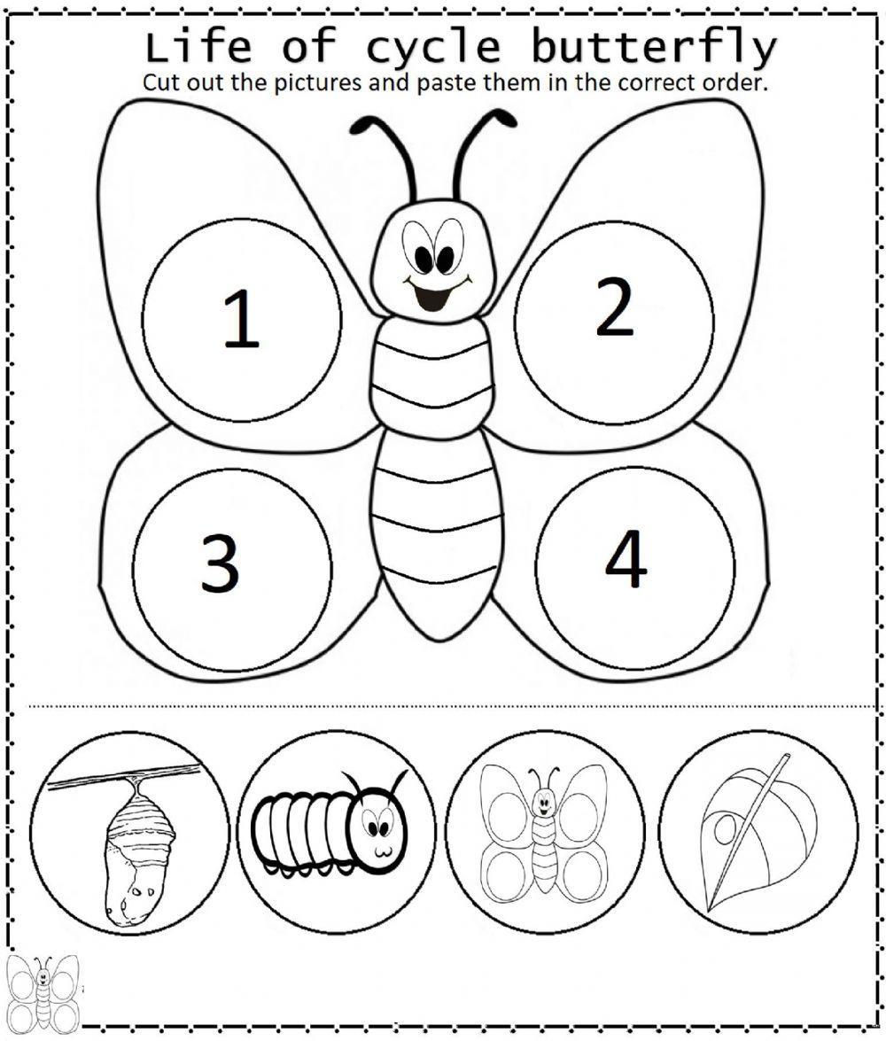 Butterfly life cycle