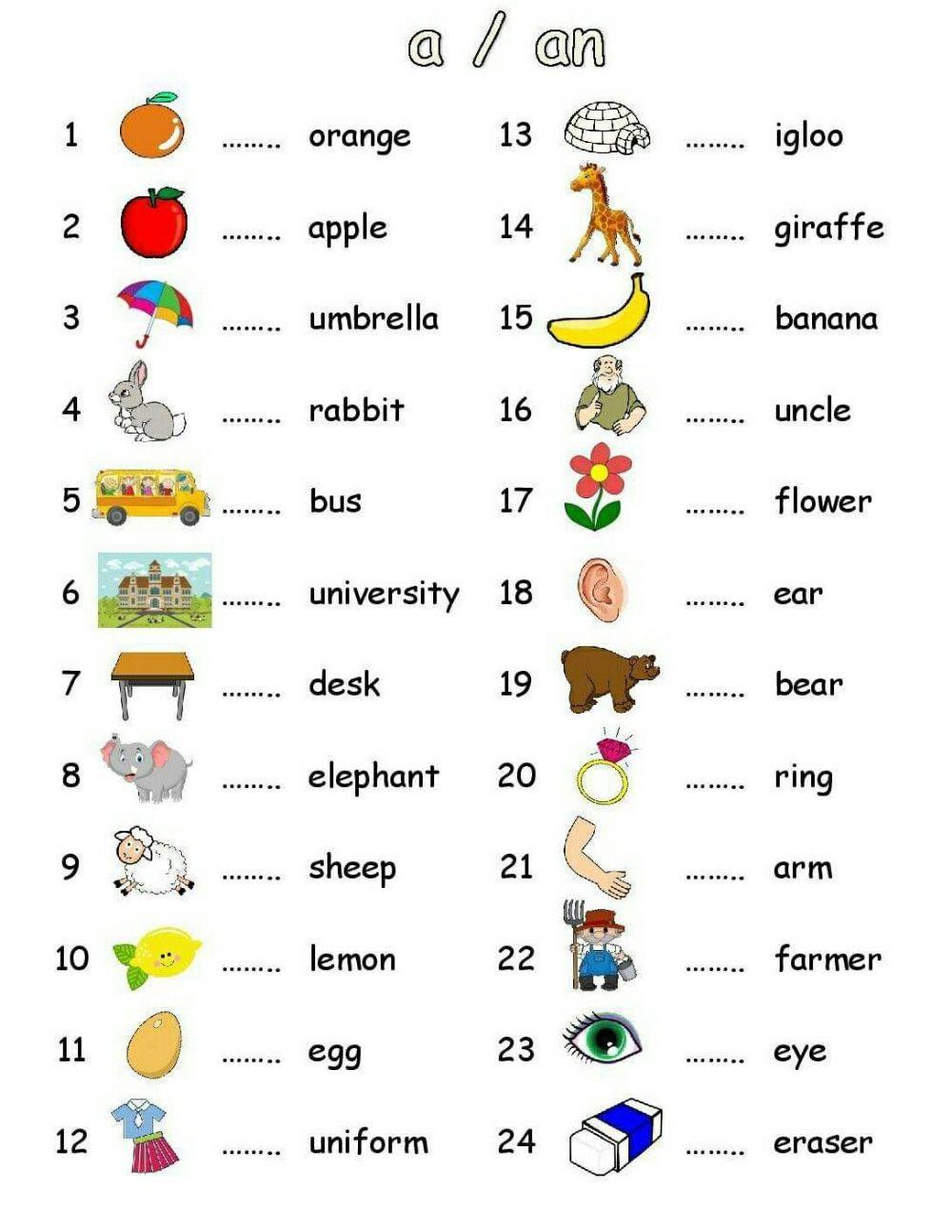 Indefinite article A AN