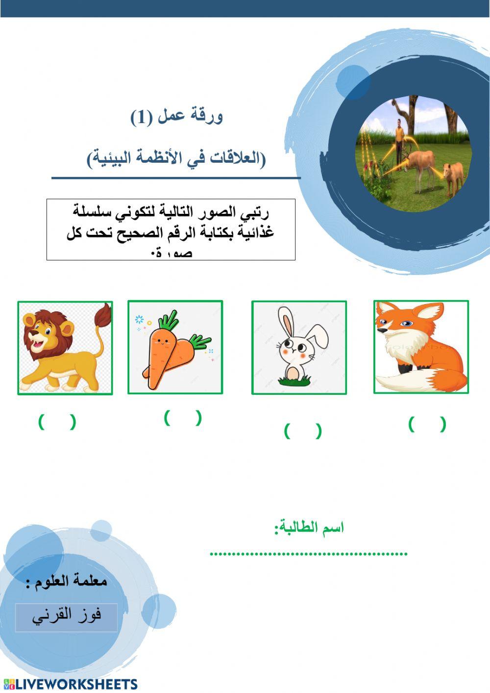 السلسلة الغذائية