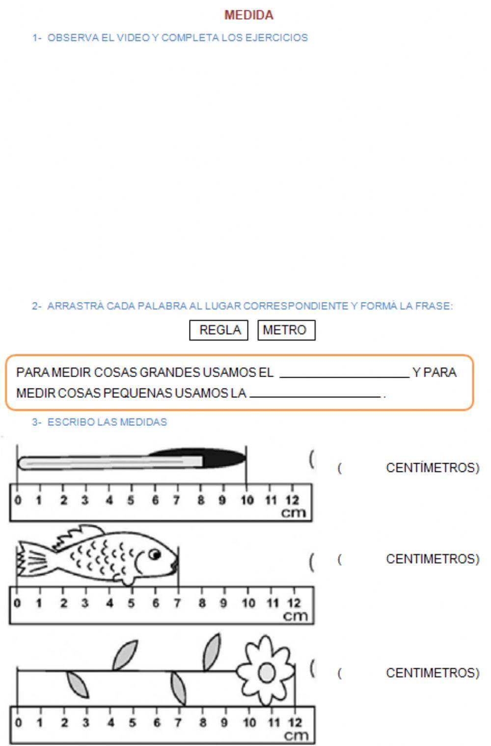 El metro y el centimetro