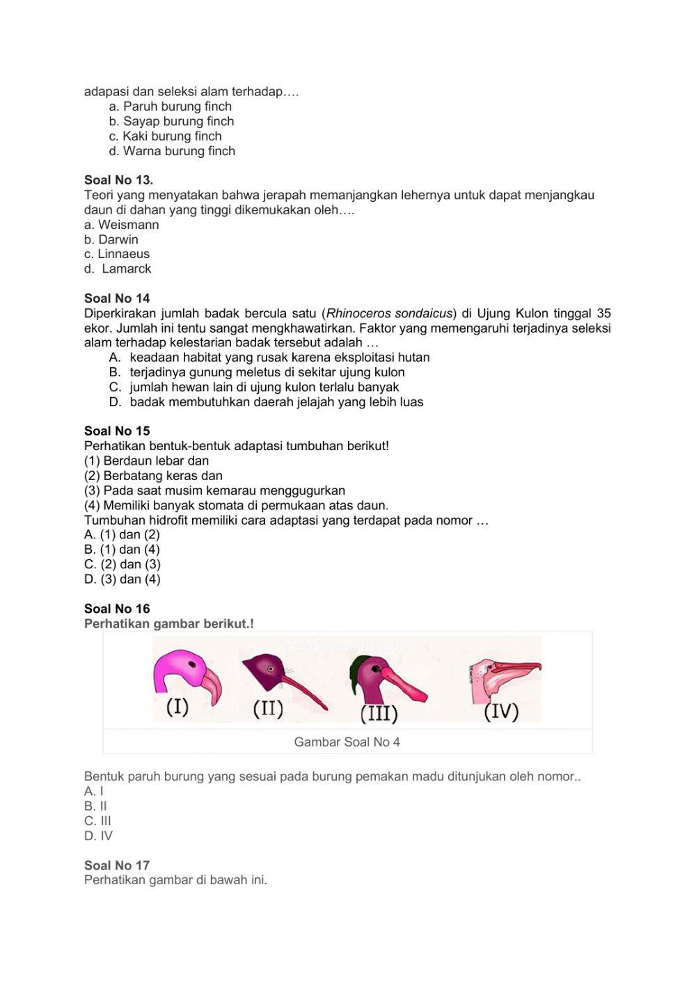 LATIHAN SOAL ADAPTASI DAN SELEKSI ALAM KELAS 9