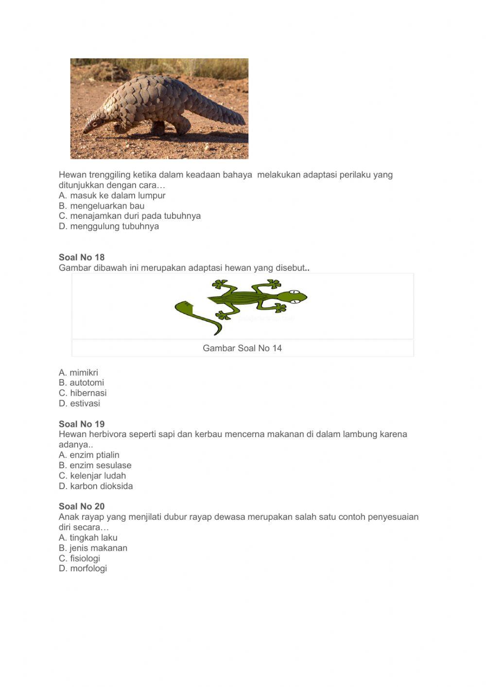 LATIHAN SOAL ADAPTASI DAN SELEKSI ALAM KELAS 9