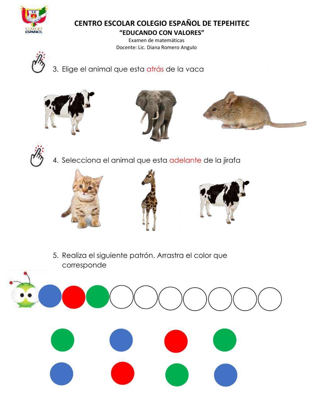 Examen de matematicas