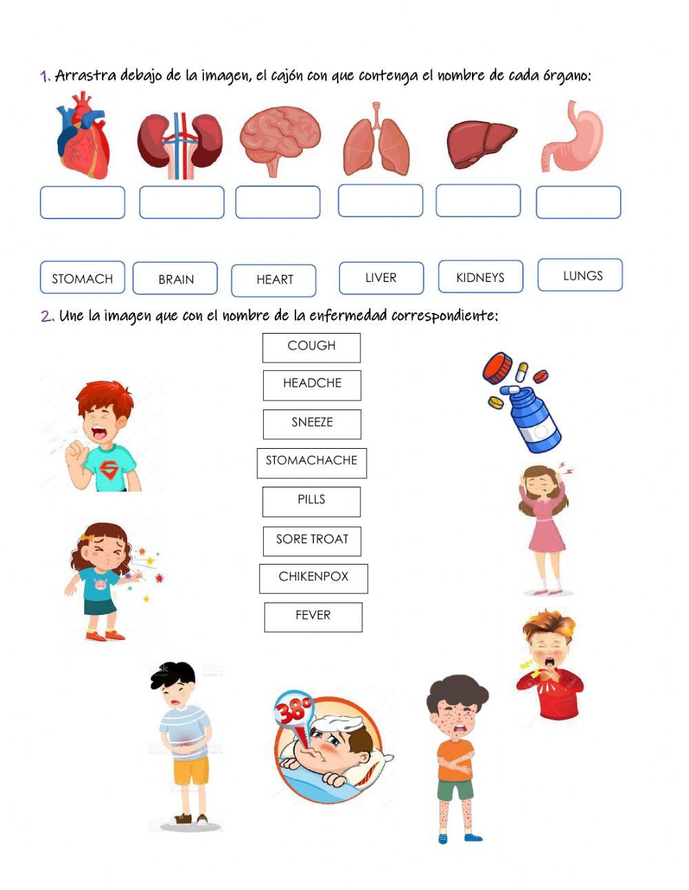 Evaluación inglés quinto