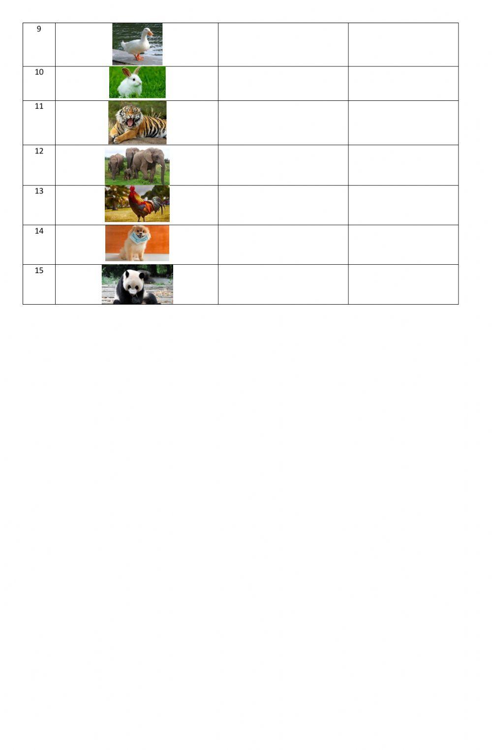 LKPD Penggolongan Jenis Makanan Hewan