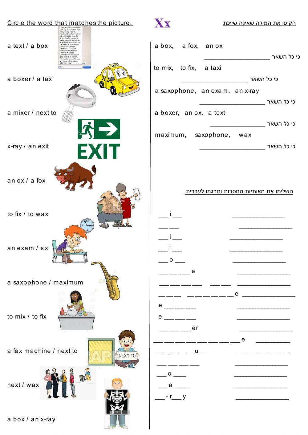 Goals 1, The Letter Xx Dina Shterengas