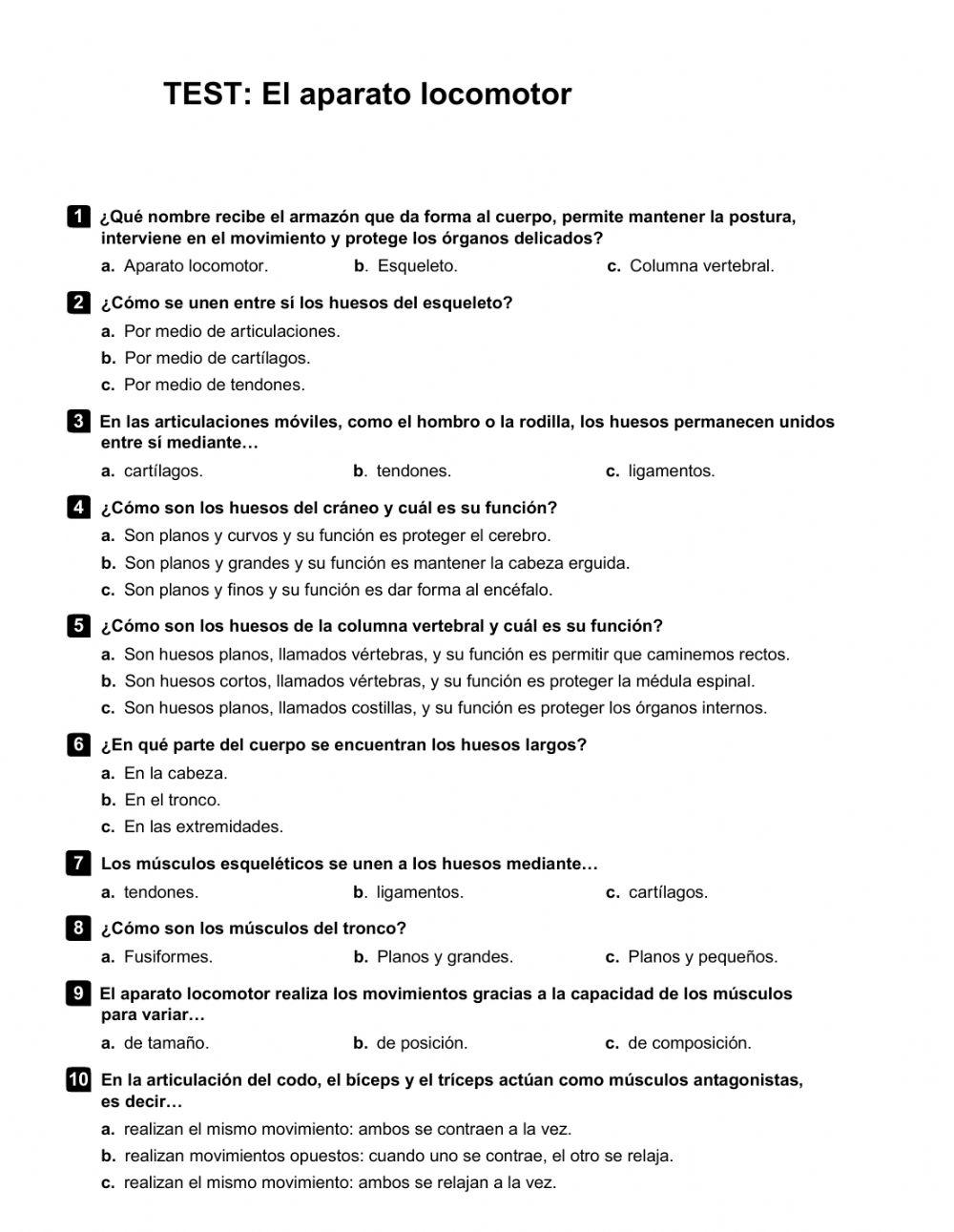 El aparato locomotor